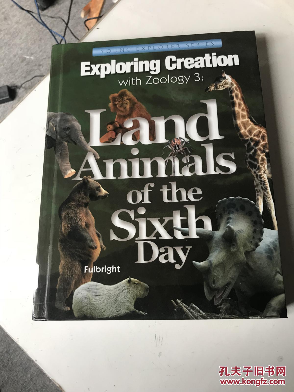 land animals 详细见图