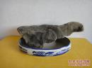 太行奇石“太行亮镁石-雄鹰展翅”、洛阳梅花玉原石836“雪花飘飘”、梅花石原石982、太行奇石“玲珑石”（店庆大酬宾，可零售，共4块，每块2元）