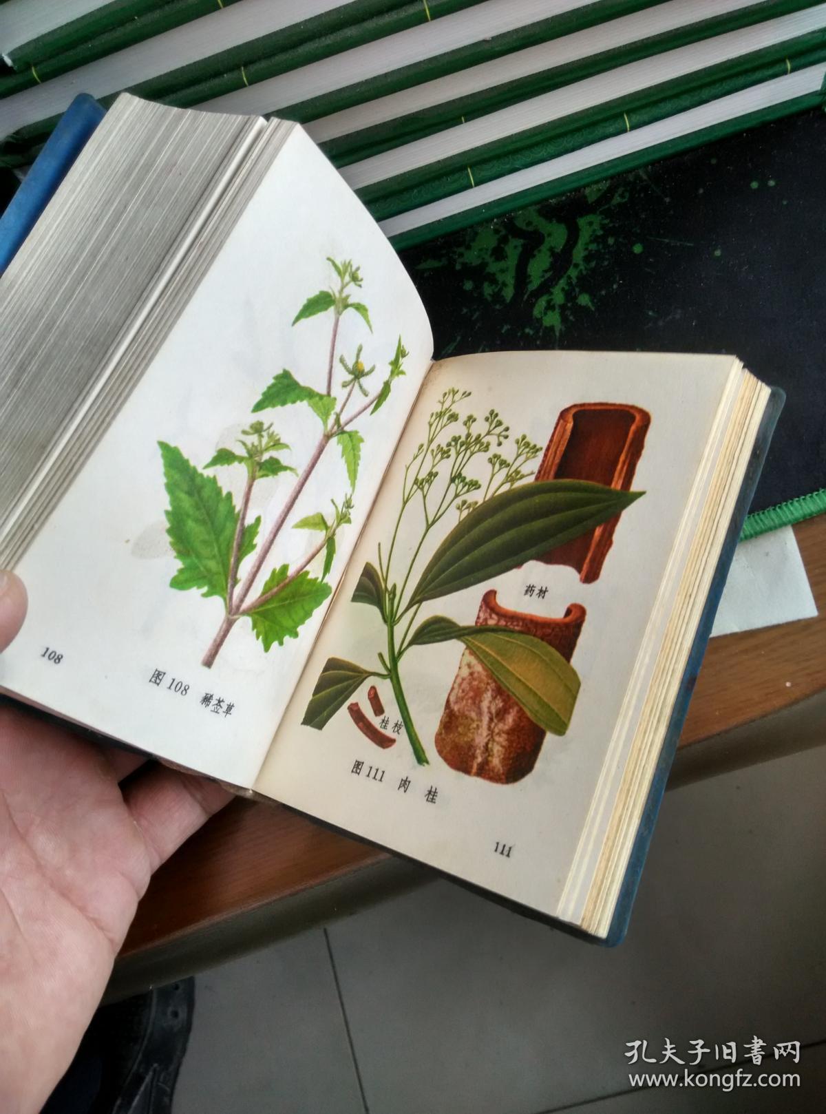 山西运城地区中草药汇编