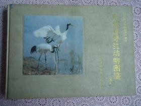 吉林省野生动物图鉴（鸟类）