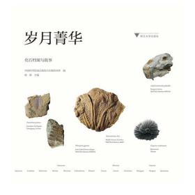 岁月菁华——化石档案与故事