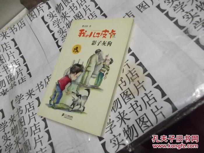 我的儿子皮卡6:影子灰狗 x6