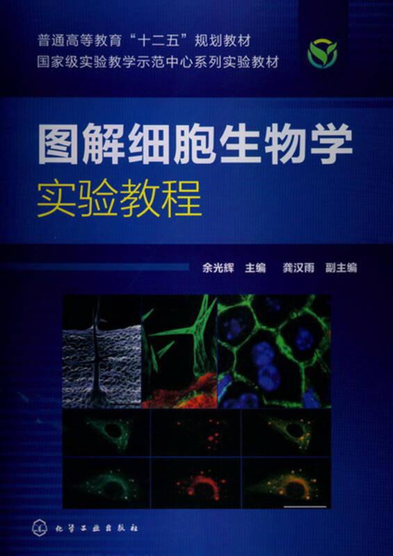 图解细胞生物学实验教程 余光辉 化学工业出版社 9787122158574