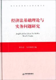 现代政府管理与法律实践书系—经济法基础理论与实务问题研究