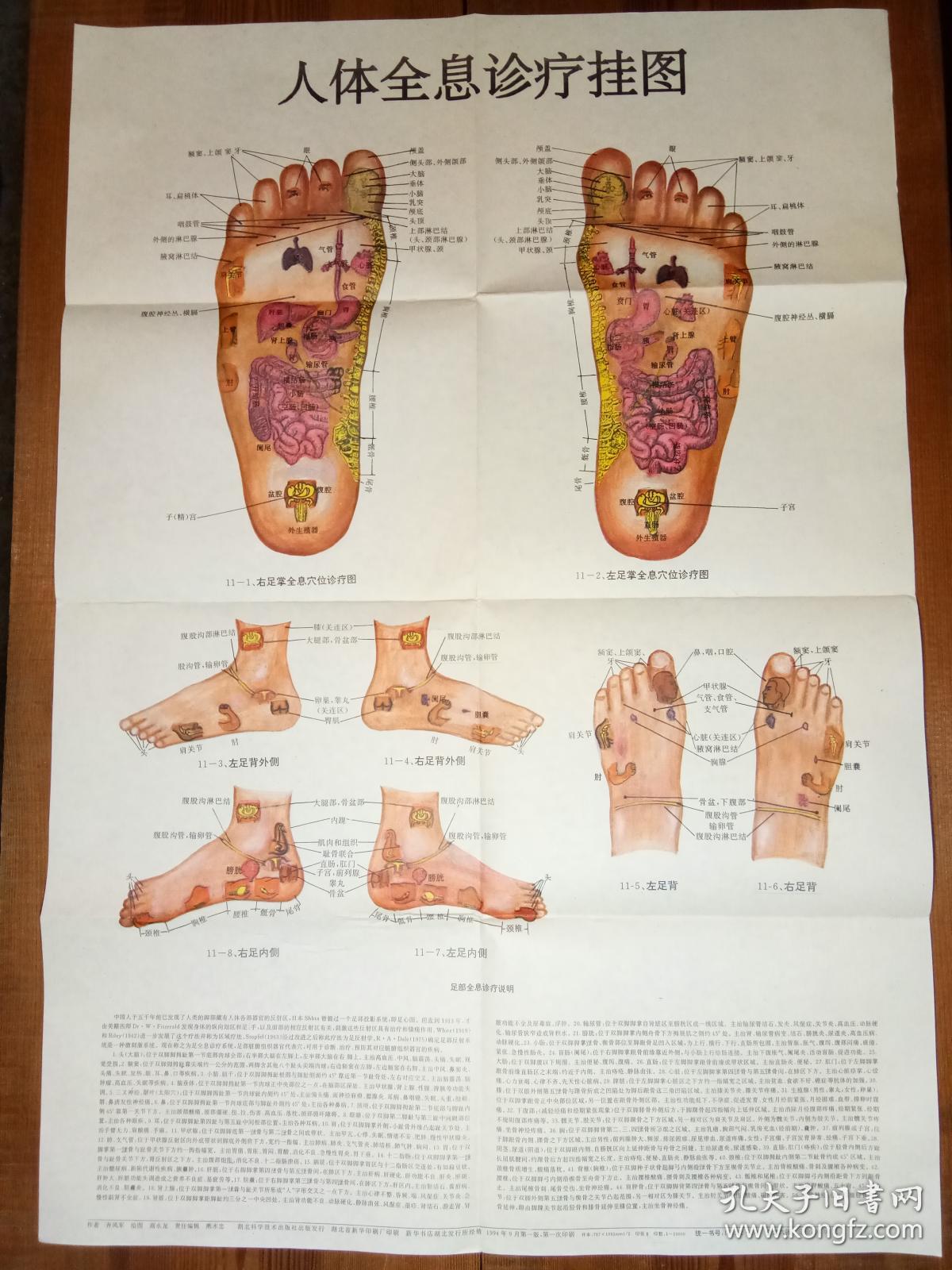 人体全息诊疗挂图全六张图