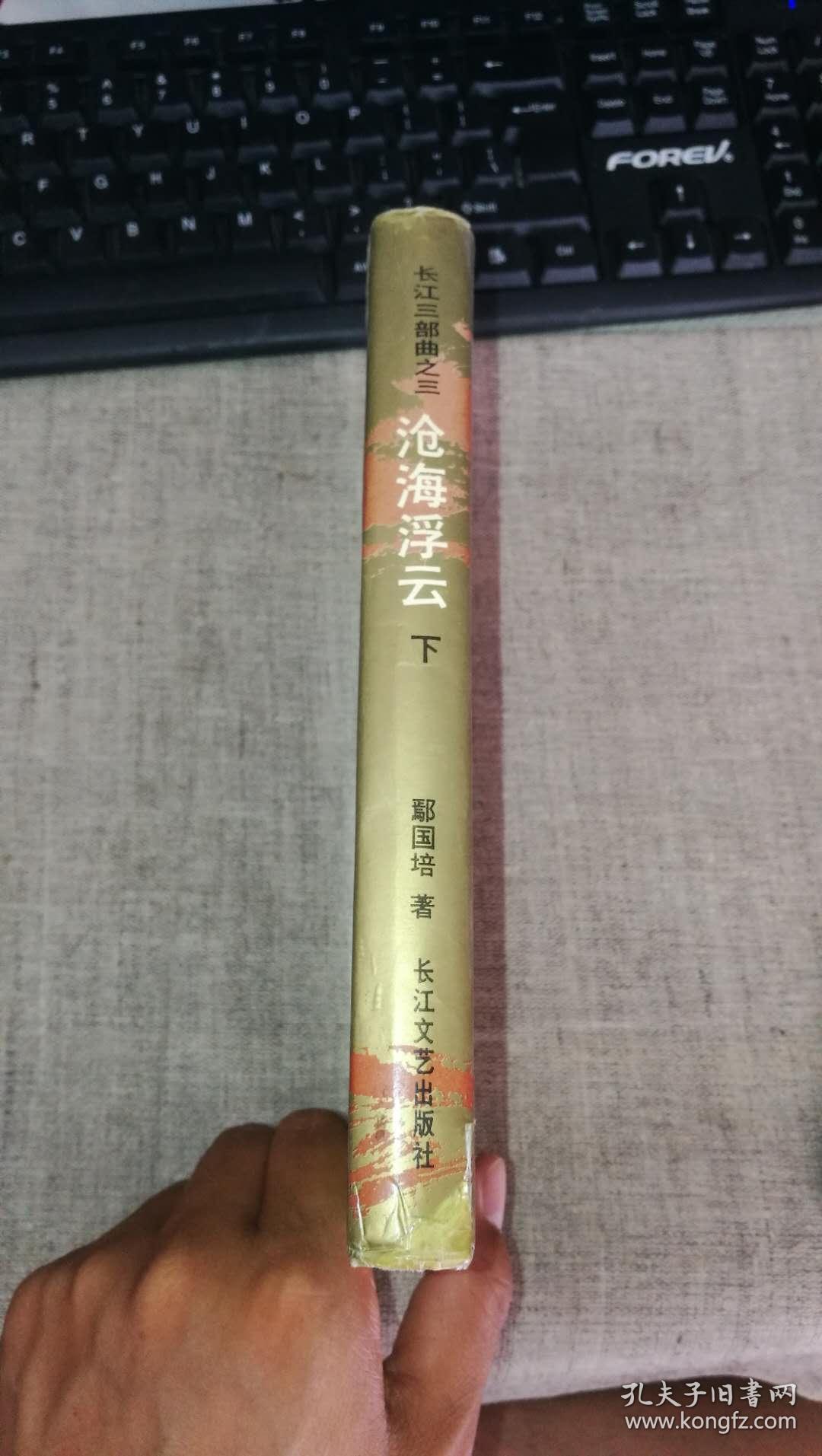 (精装) 详细见描述_鄢国培_孔夫子旧书网