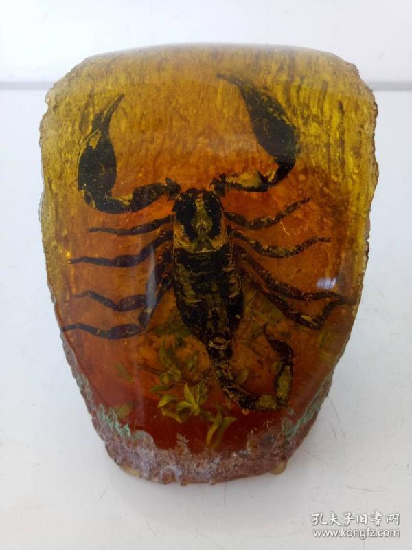 虫珀·蝎子标本·家居书房客厅摆件`