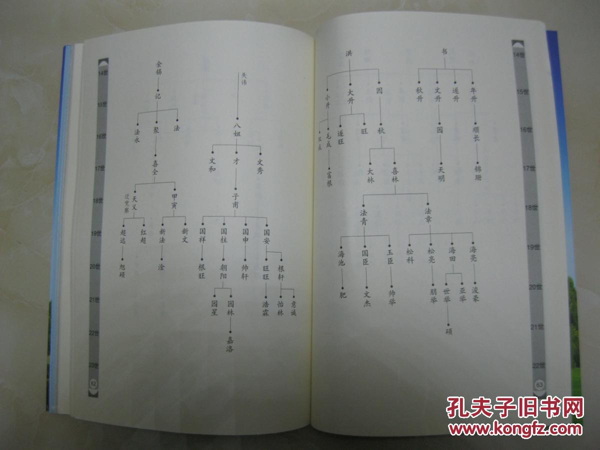 苗氏族谱禹西苗府河南省禹州市花石镇白沙一带苗姓始祖苗贲皇迁始祖苗