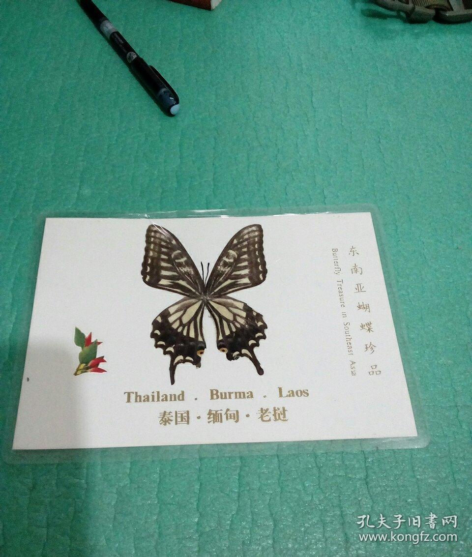 蝴蝶标本书签〈真品,己塑封〉