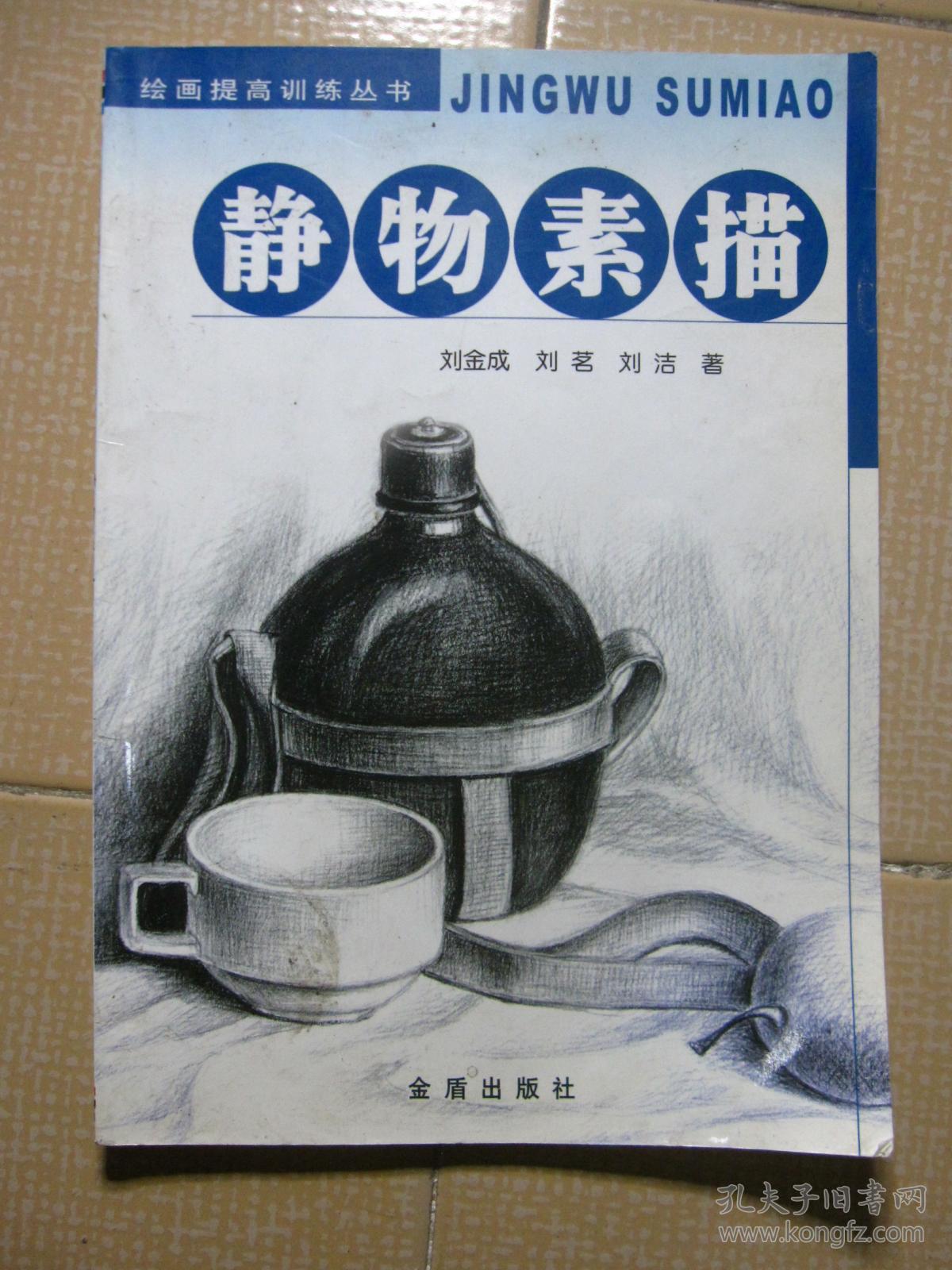 绘画提高训练丛书静物素描