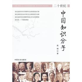 20世纪中国知识分子