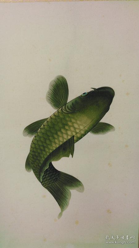 日本回流字画近代绢本绫裱鲤鱼跳水有余图品好立轴书房装饰画721