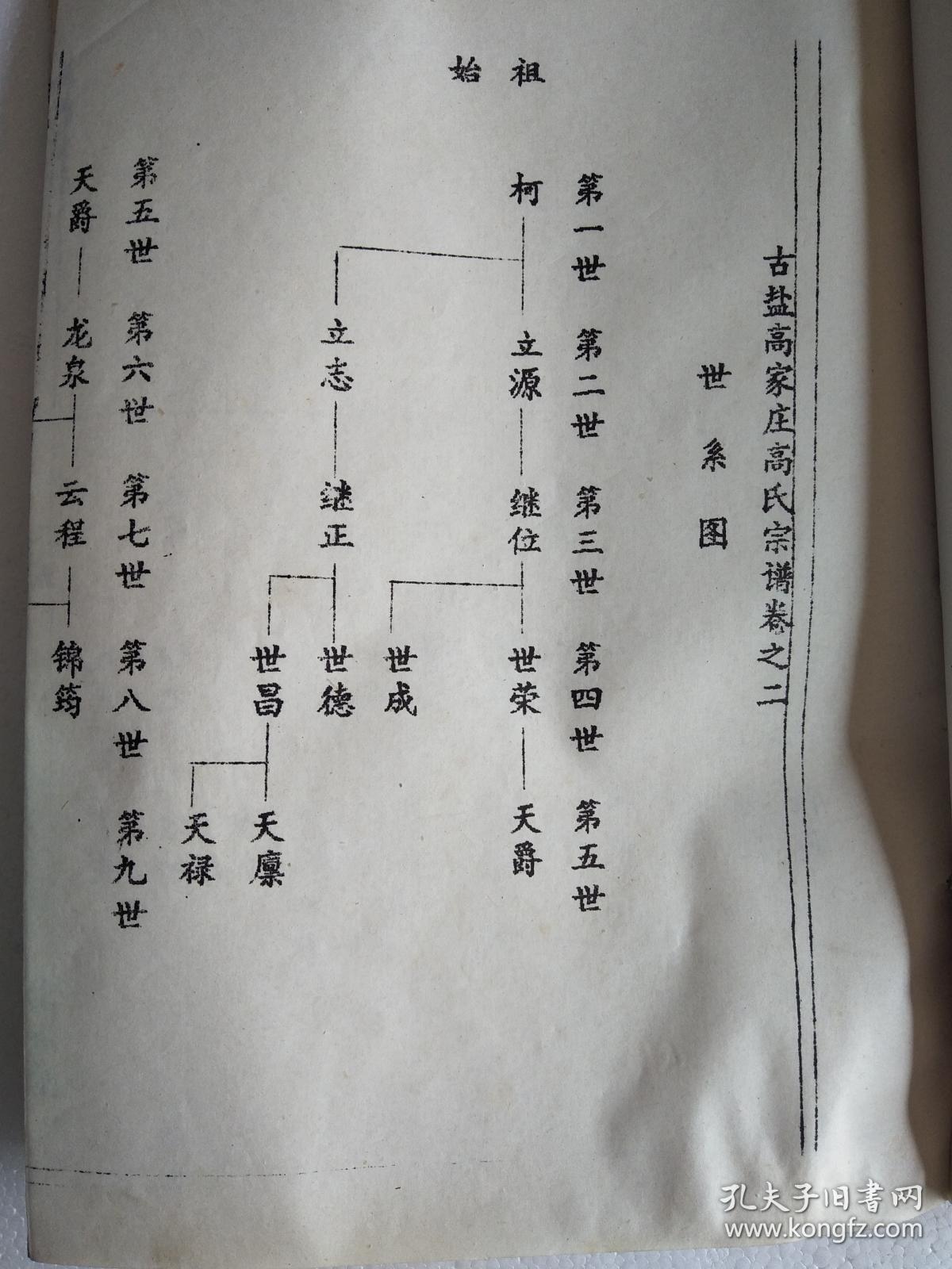 提供资料信息服务高氏宗谱渤海堂古盐高家庄柯公支五本九卷16开900页