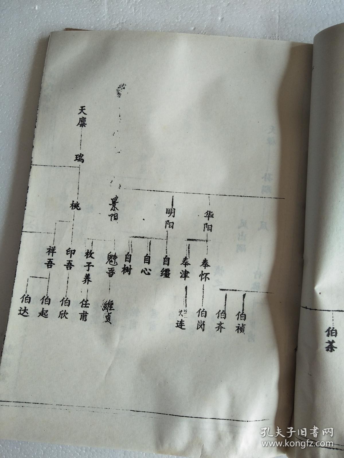 提供资料信息服务高氏宗谱渤海堂古盐高家庄柯公支五本九卷16开900页