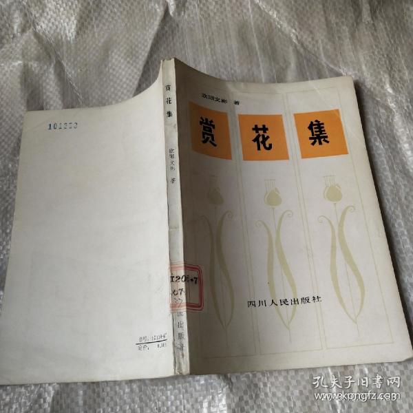 王保春 著/ 中国华侨出版社/ 1993/ 平装 幽梦书屋 河北省衡水市 幽梦