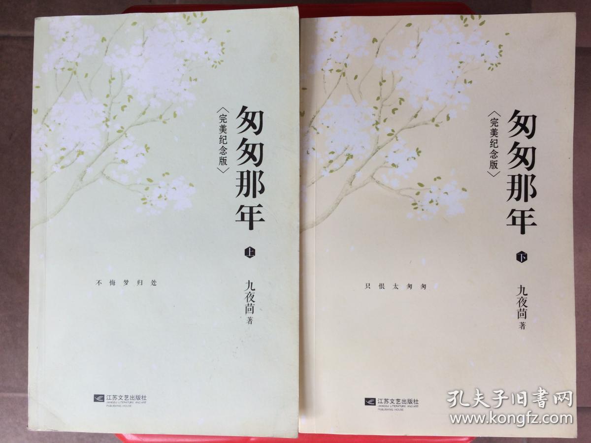 匆匆那年上,下,九夜茴青春文学作品两册,同名电影热播完美纪念版书籍