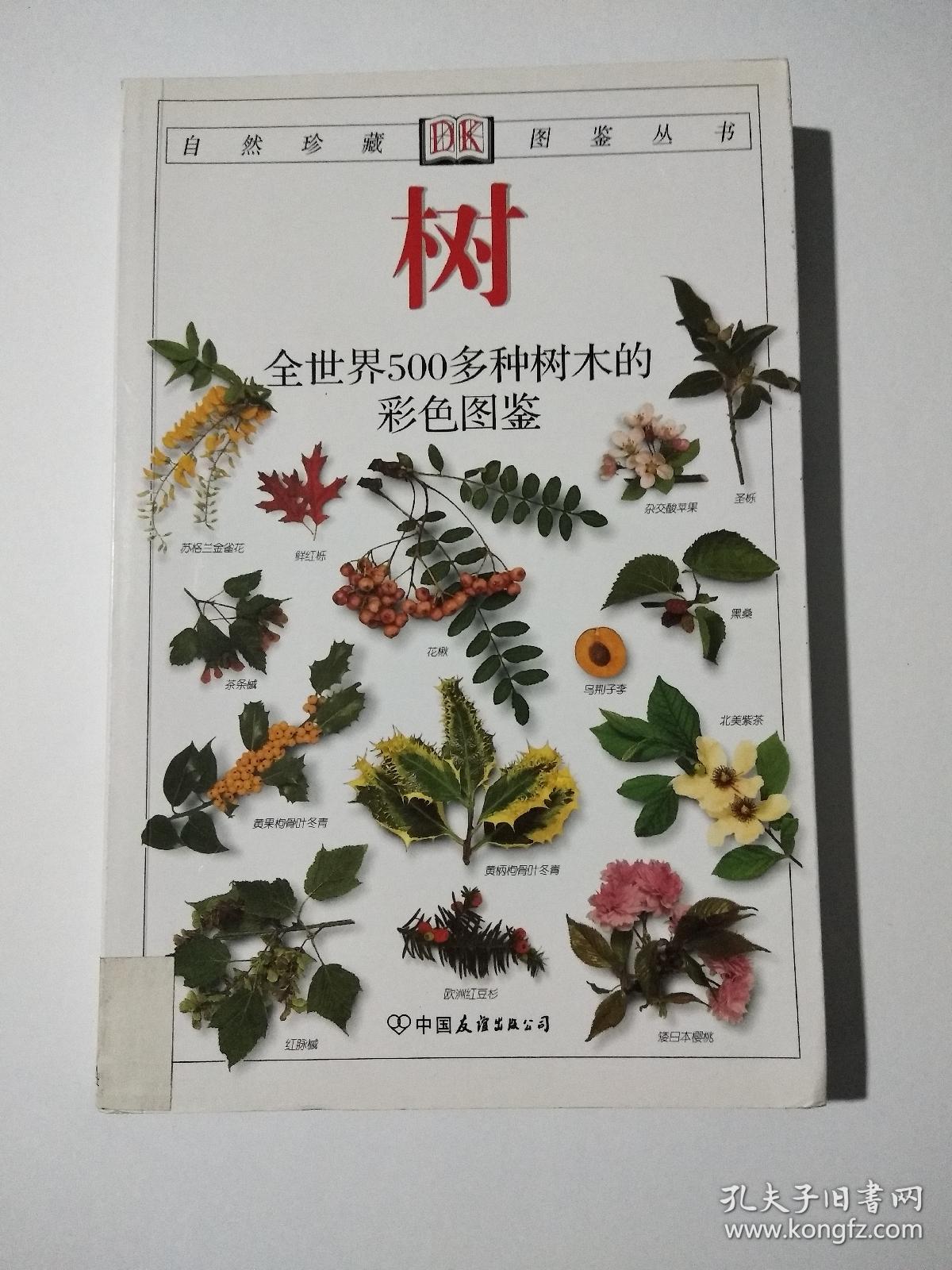 自然珍藏图鉴丛书——树 全世界500余种树木的彩色图鉴