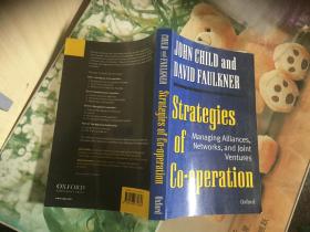 STRATEGIES OF CO-OPERATION