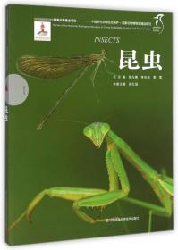 昆虫/中国野生动物生态保护 国家动物博物馆精品研究