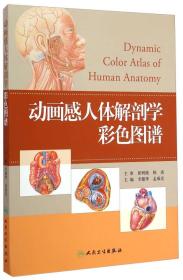 动画感人体解剖学彩色图谱