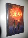Pharoah's Secret by Marissa Moss 英文版