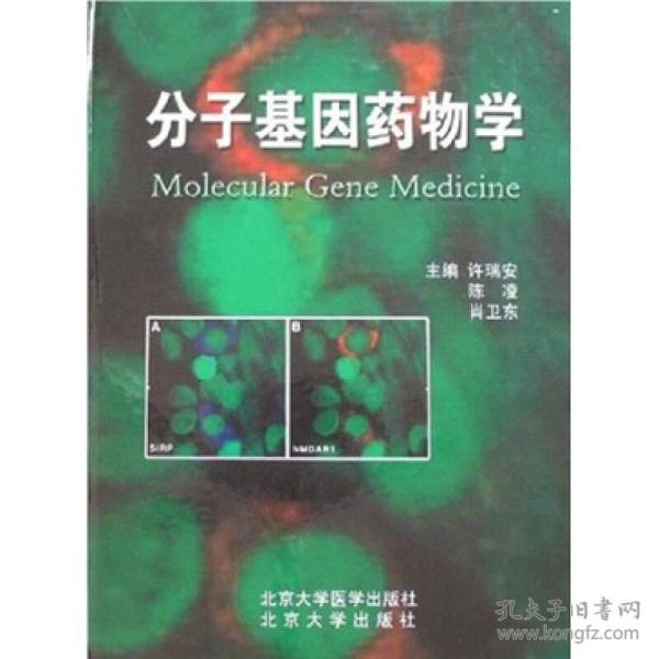 分子基因药物学