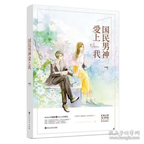 国民男神爱上我 安知晓 魅丽文化 孔夫子旧书网 国民男神爱上我 安知晓 魅丽文化 孔夫子旧书网
