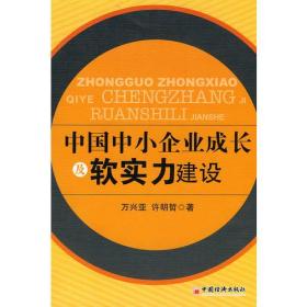 中国中小企业成长及软实力建设