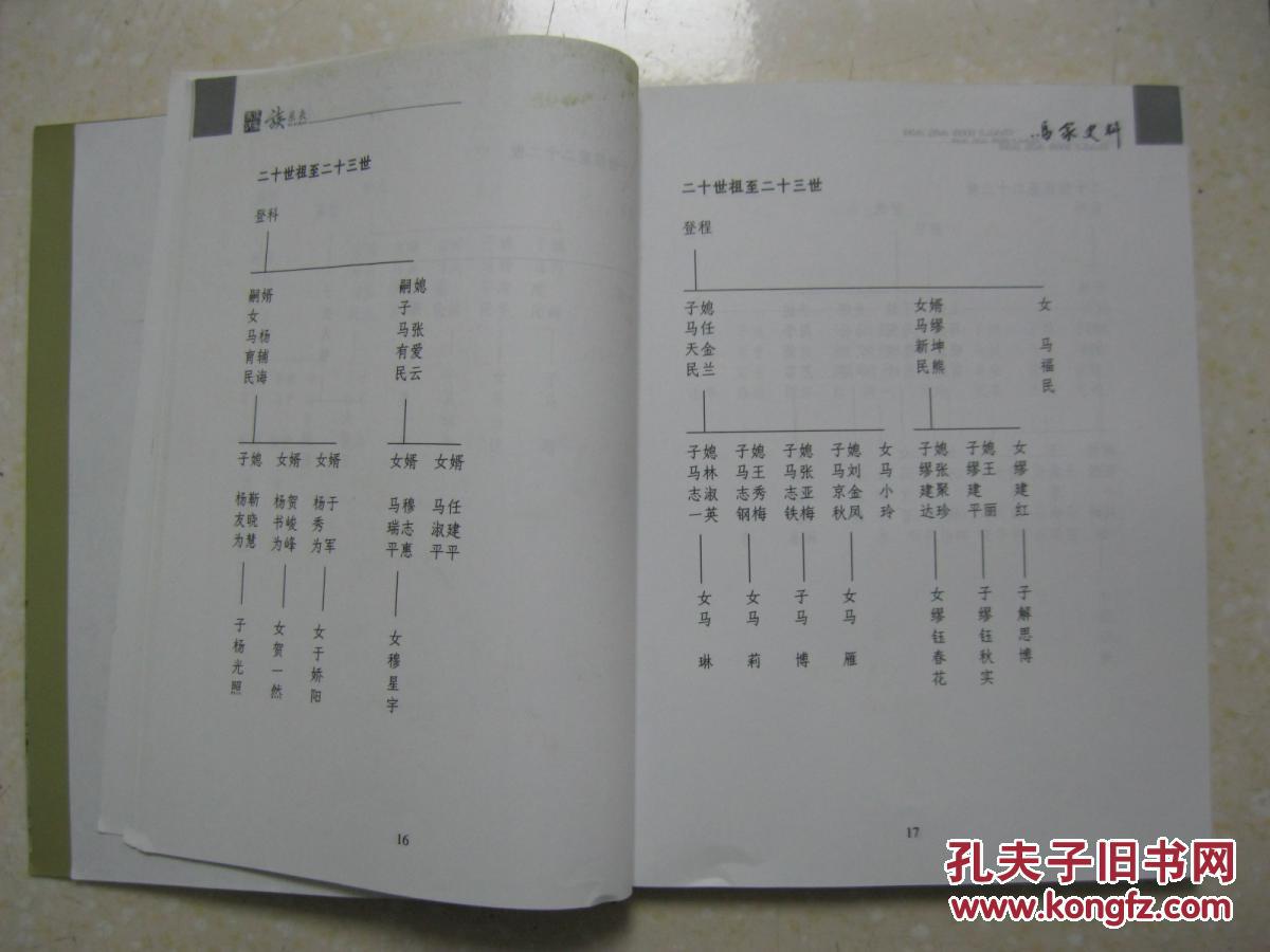 十世祖廷骅公,明嘉靖举人,凤翔