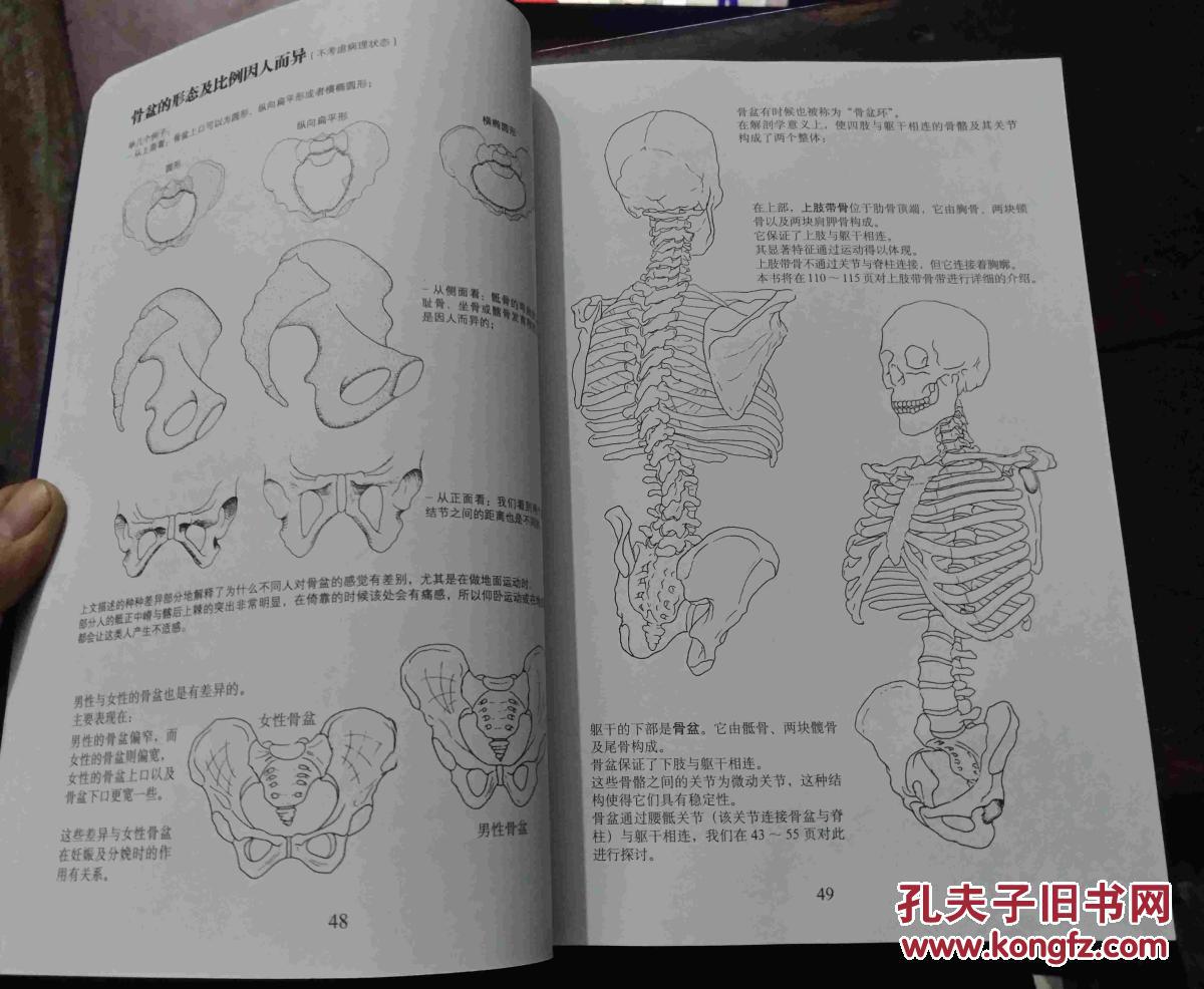 运动解剖书:运动者最终要读透的身体技能解析书