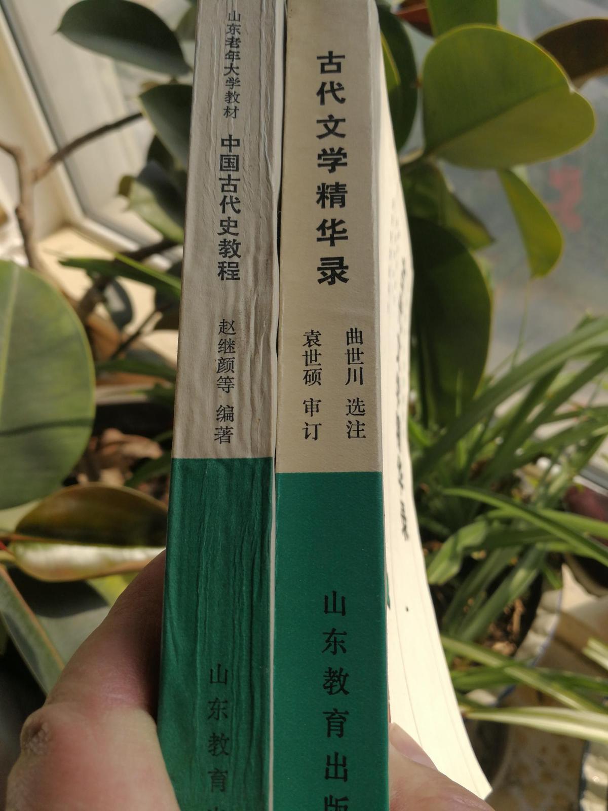 《古代文学精录/中国古代史教程》/袁世硕审订