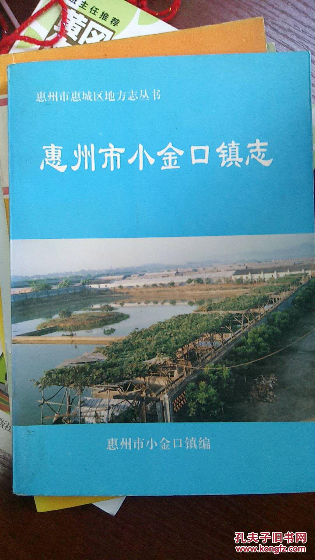 惠州市小金口镇志