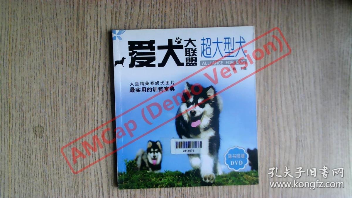 爱犬大联盟 超大型犬 孔夫子旧书网