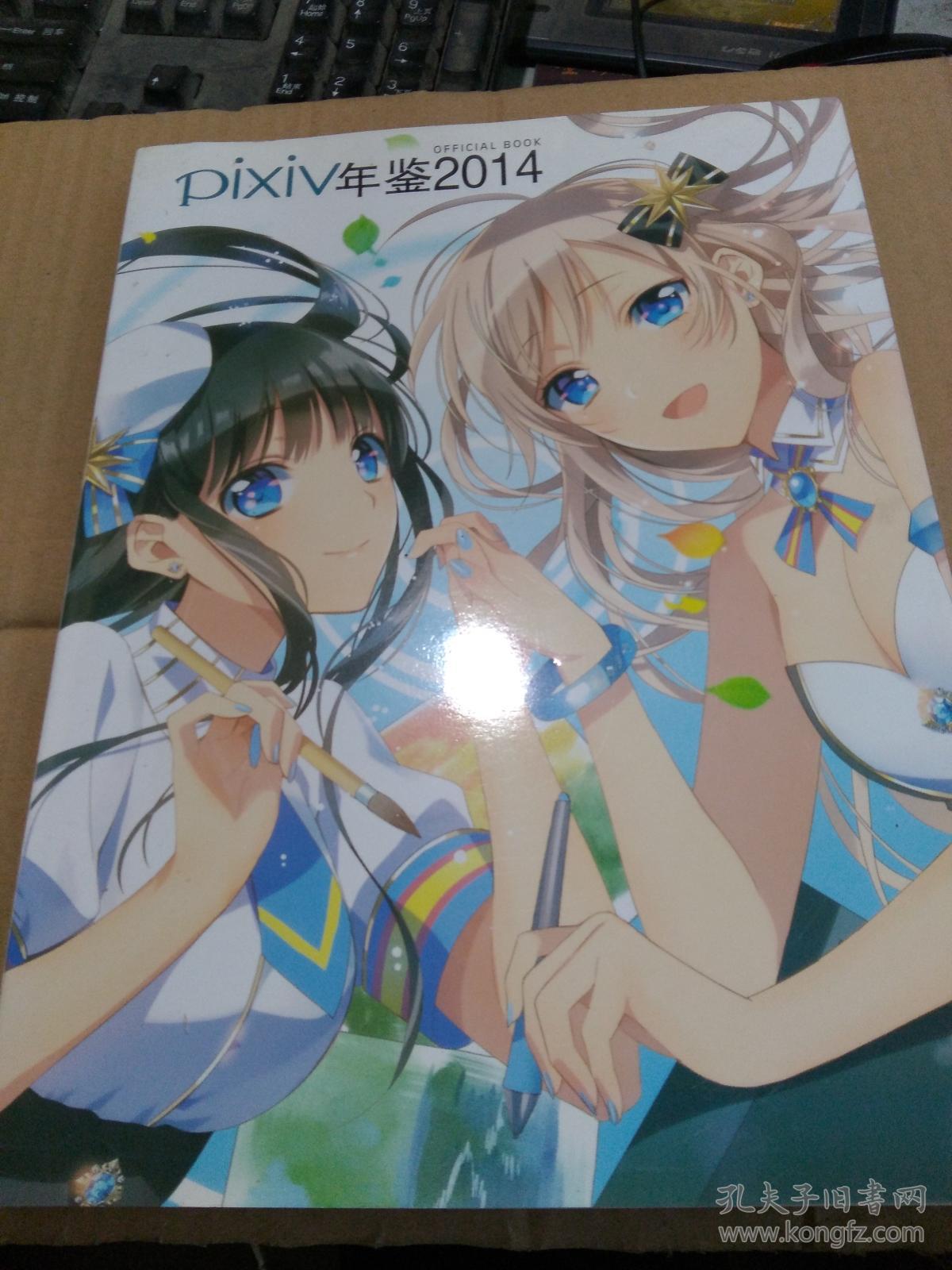 pixiv年鉴2014(名家彩图精选)