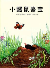 ѡ㳩汾Сαװ汾