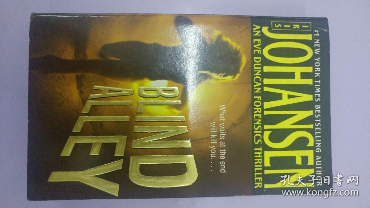 blindalley英文原版bt外来之家