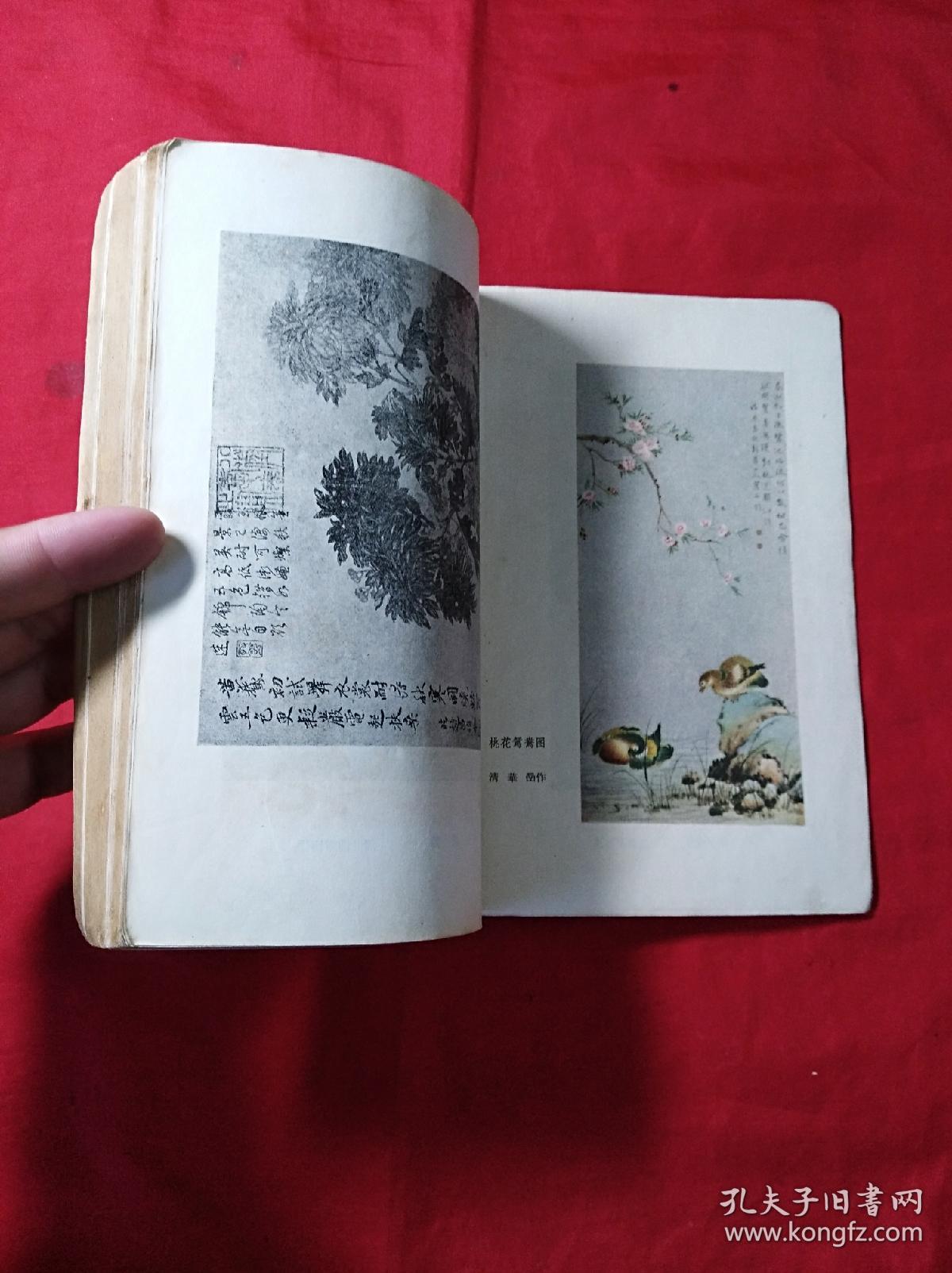 花鸟画技法(1960年5印,插图本)_黄若舟著_孔夫子旧书网
