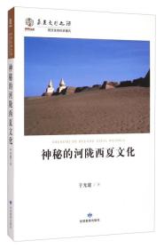 华夏文明之源·陇文化的历史面孔：神秘的河陇西夏文化