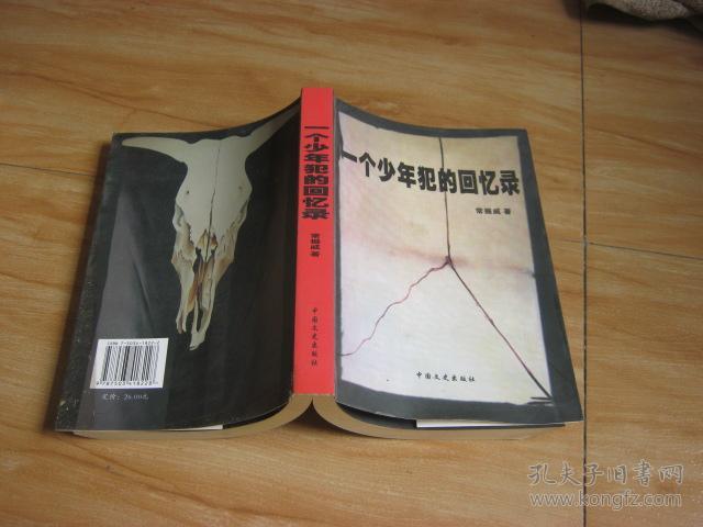 一个少年犯的回忆录