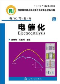 电化学丛书：电催化