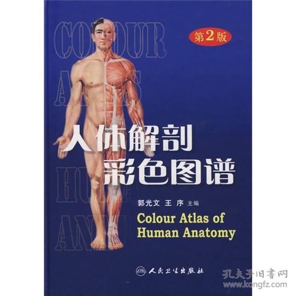 库存书 人体解剖彩色图谱