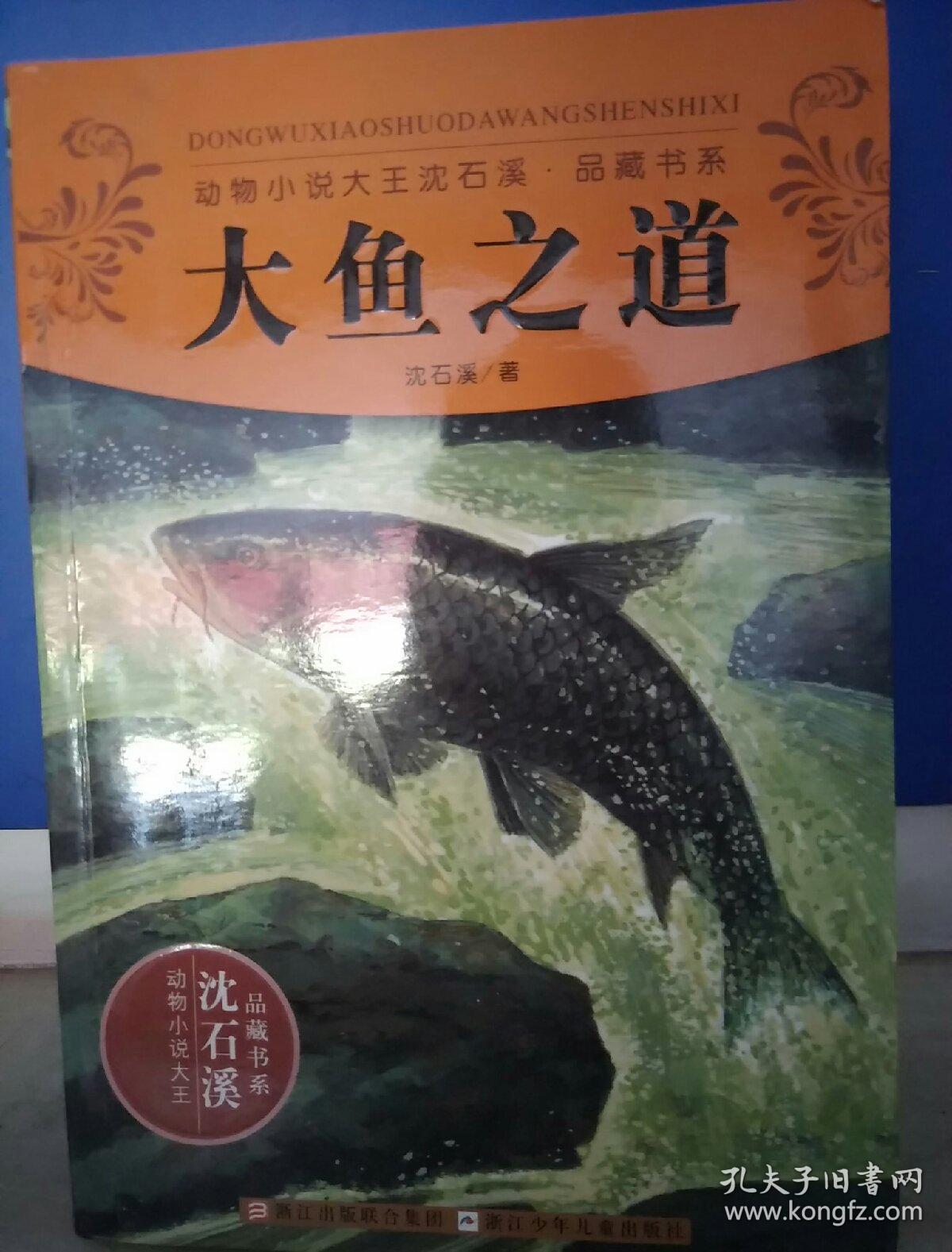 动物小说大王沈石溪·品藏书系:大鱼之道