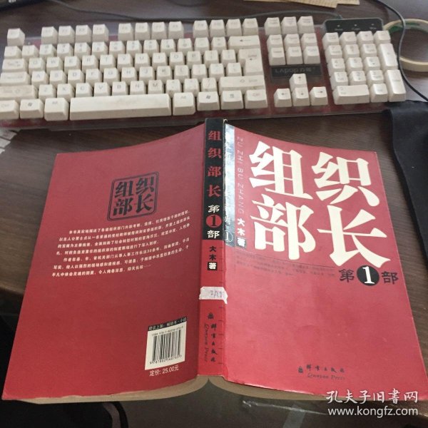 大木组织部长系列:组织部长(第1部)