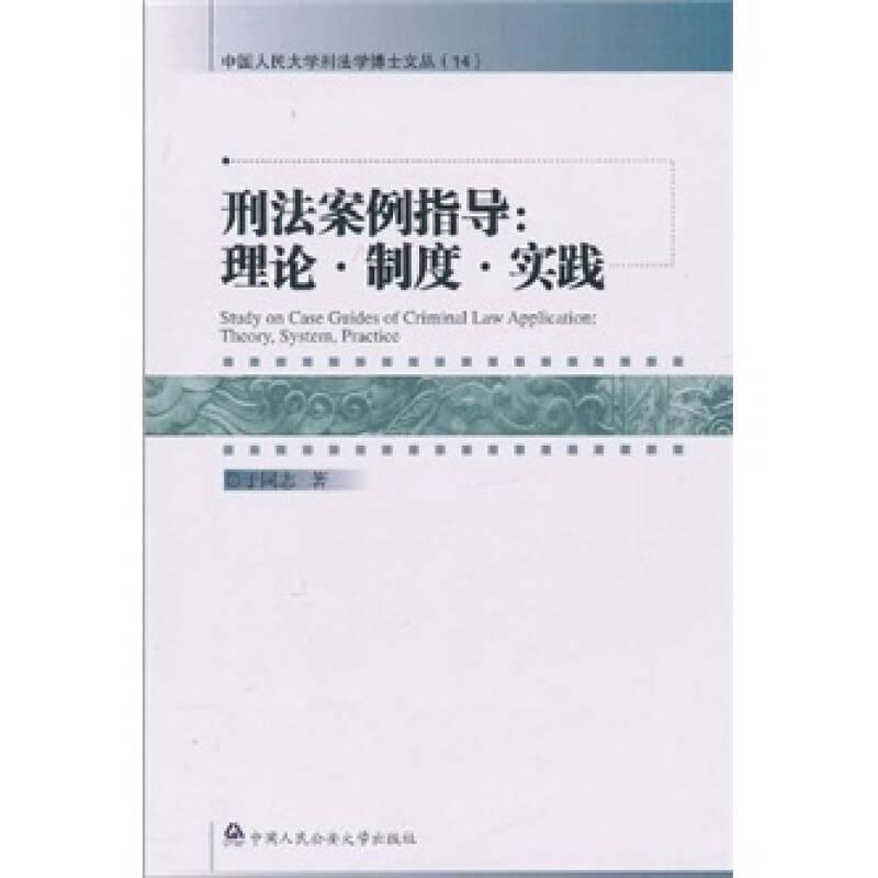 刑法案例指导:理论·制度·实践:theory, system, practice