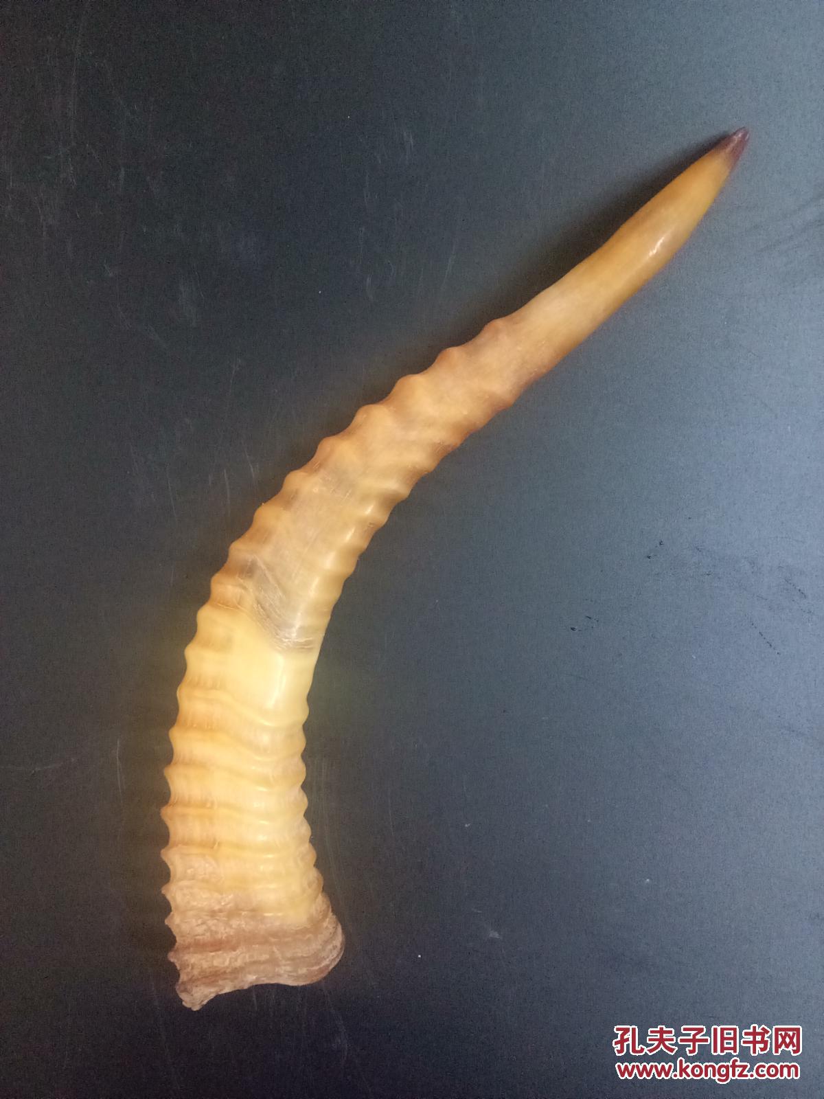 传世清代老羚羊角摆件 拍品编号:30227066