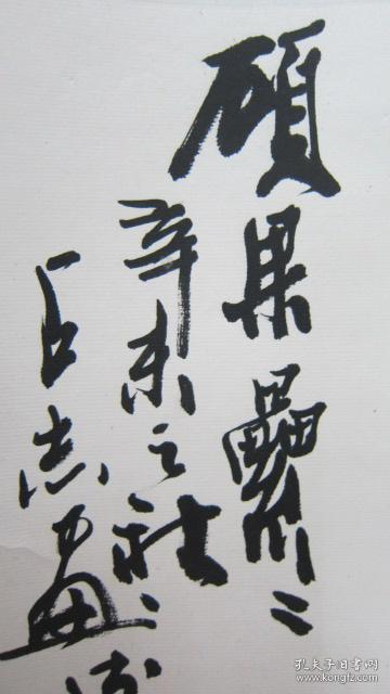 许占志画硕果累累