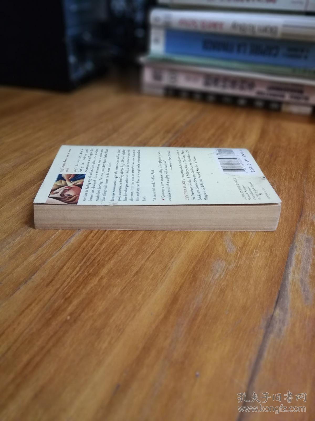 izzy,willy-nilly【外文原版,36开】