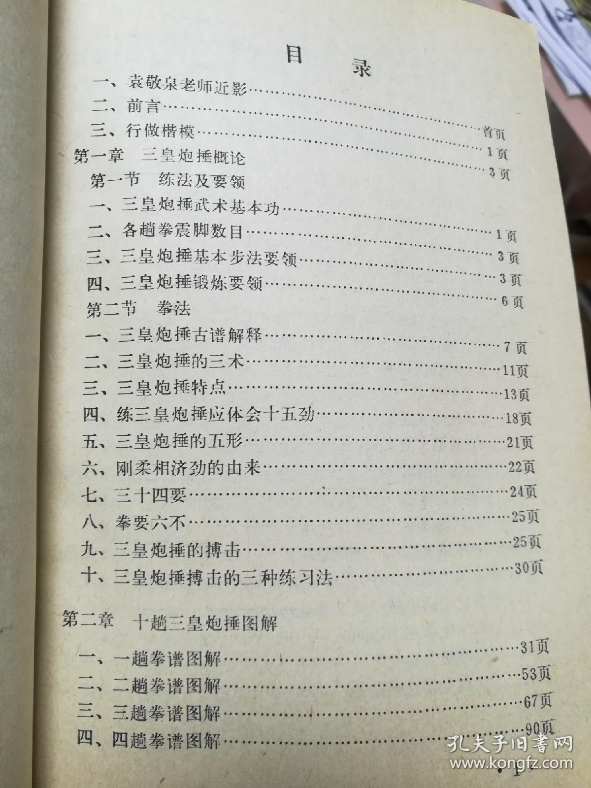 三皇炮捶袁敬泉