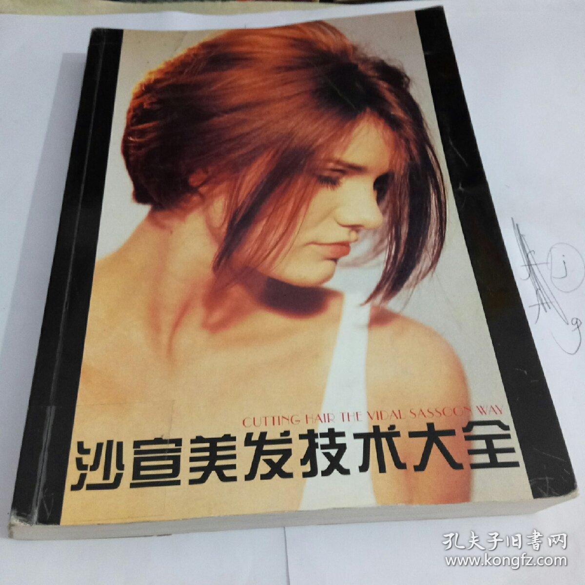 沙宣美发技术大全