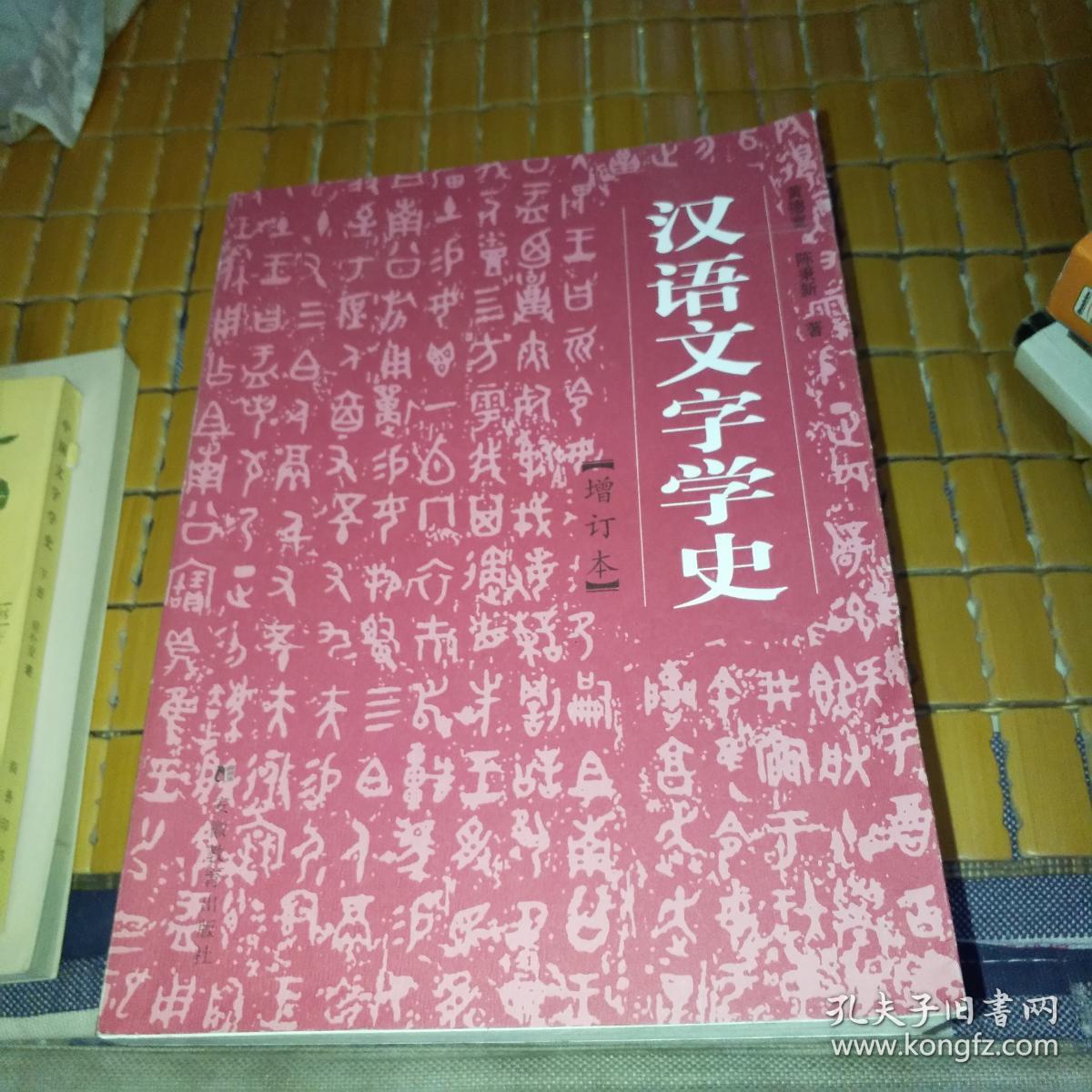 汉语文字学史(增订本)